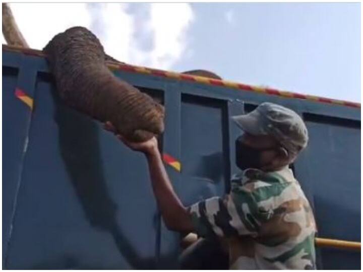 Tamil Nadu Forest Ranger's heart-melting video surfaced after elephant dies हाथी के मरने पर सामने आया तमिलनाडु वन रेंजर का दिल पिघला देने वाला वीडियो, सोशल मीडिया पर भावुक हुए लोग