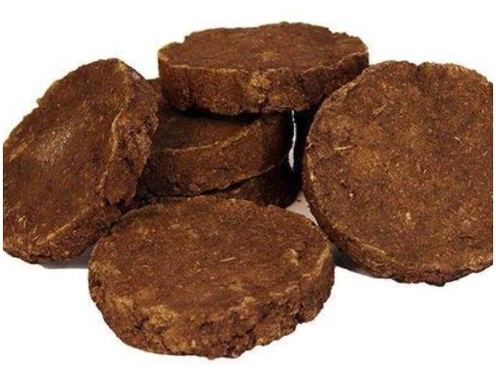Due to Eat a cow dung cake customer became ill शख्स ने ऑनलाइन मंगाए थे गाय के गोबर से बने उपले, अब उसके साथ हुआ कुछ ऐसा, जानिए