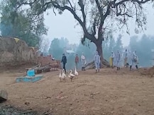 बर्ड फ्लू से तीन बतखों की मौत के बाद उन्नाव में हड़कंप, आसपास का इलाका संक्रमित जोन घोषित