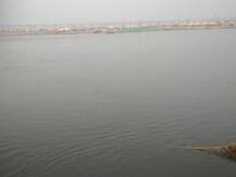 Magh Mela: प्रयागराज में खबर का असर, साफ नजर आने लगी गंगा नदी, खुश हुए श्रद्धालु