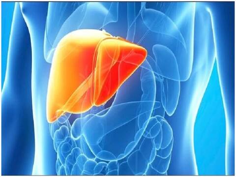Health tips: लीवर की सेहत को बेहतर बनाने के लिए ये फूड्स और ड्रिंक्स हैं काफी मददगार Health tips: लीवर की सेहत को बेहतर बनाने के लिए ये फूड्स और ड्रिंक्स हैं काफी मददगार