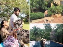 सुनील शेट्टी हैं बेहद आलीशान फॉर्महाउस के मालिक, देखें INSIDE तस्वीरें