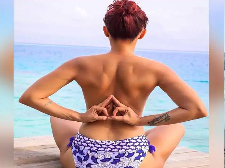 आशका गोराड़िया अपने पति के साथ सोशल मीडिया पर काफी एक्टिव रहती हैं. साथ ही आए दिन वो अपने पति के साथ अपनी ग्लैमर फोटोज को शेयर करके सुर्खियों में बनी रहती हैं. वर्कफ्रंट की बात करें तो, आशका गोराड़िया टीवी के सबसे चर्चित रियलिटी शो बिग बॉस 6 में भी नजर आ चुकी हैं. 