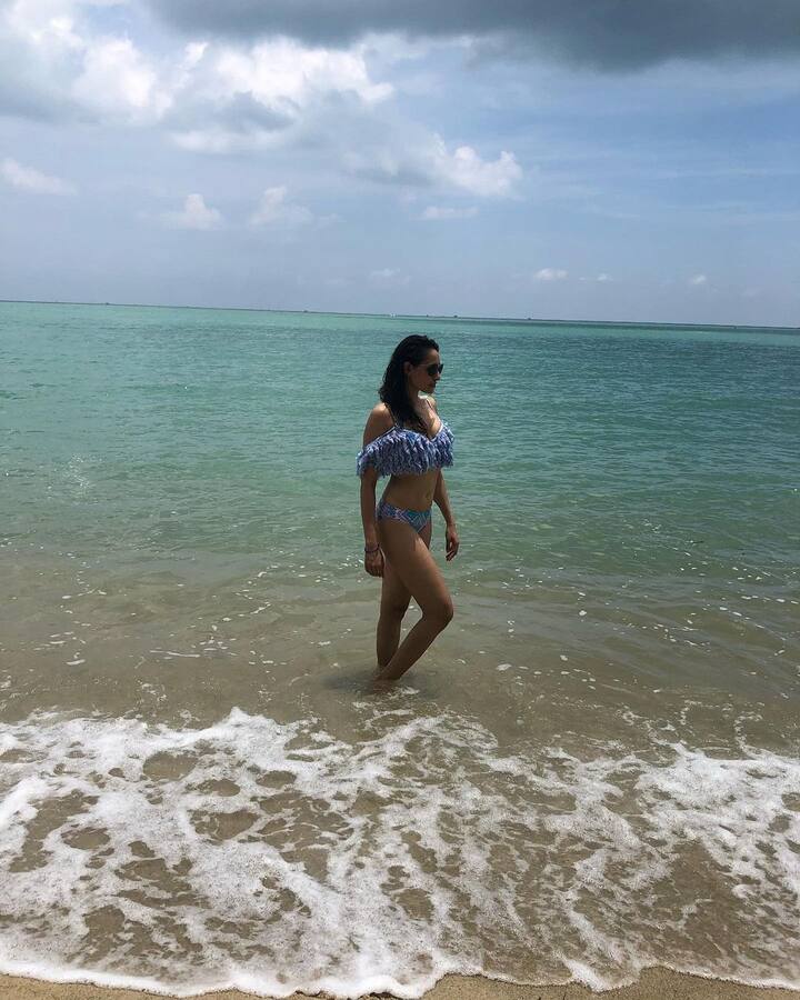 इस फिल्म में सलमान पुलिस के किरदार में दिखेंगे. इसमें आयुष शर्मा एक गैंगस्टर की भूमिका हैं.