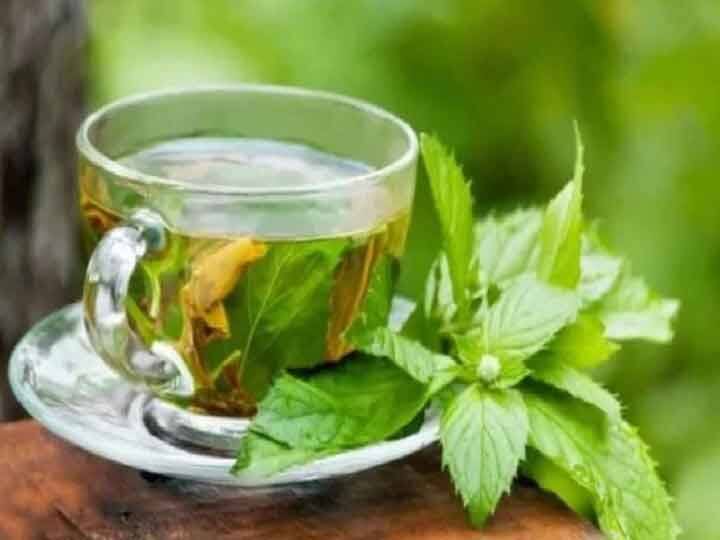 Health Tips: क्या आप जानते हैं Green Tea के अधिक सेवन से शरीर को हो सकते हैं ये गंभीर नुकसान! Do you know that green tea can cause serious damage to the body Health Tips: क्या आप जानते हैं Green Tea के अधिक सेवन से शरीर को हो सकते हैं ये गंभीर नुकसान!