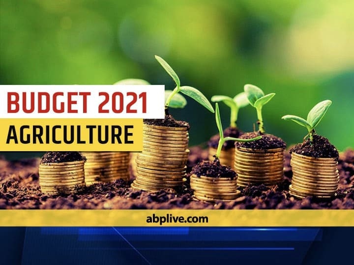 BUDGET 2021: Agriculture Sector Expected special incentive for additional funds and food processing to agriculture sector BUDGET 2021 Agriculture: कृषि क्षेत्र को अतिरिक्त फंड और फूड प्रोसेसिंग के लिए स्पेशल इंसेंटिव की उम्मीद