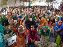 ਕਿਸਾਨ ਅੰਦੋਲਨ ’ਤੇ ਆਪਸ ’ਚ ਵੰਡੇ ਗਏ ਪਰਵਾਸੀ ਭਾਰਤੀ, ਇੱਕ-ਦੂਜੇ ’ਤੇ ਹਮਲਾਵਰ