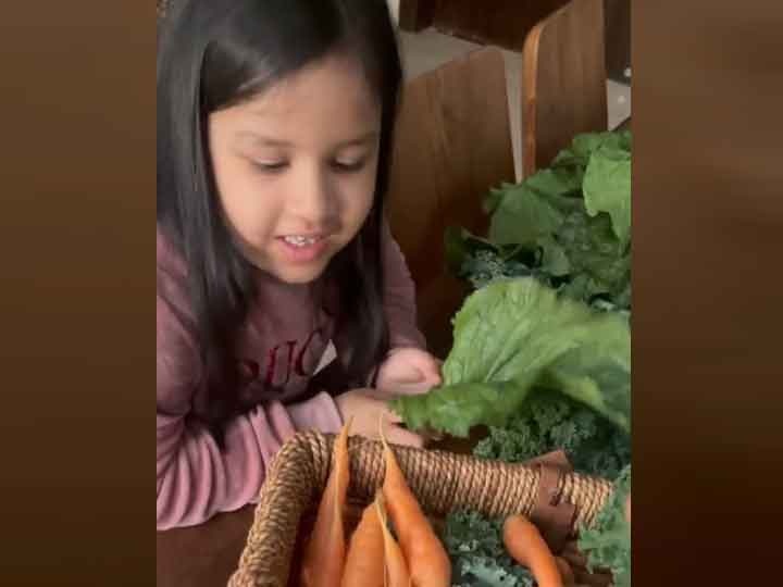 MS Dhoni's daughter Ziva set up shop for green vegetables Sakshi dhoni asked this question video viral Viral Video: MS Dhoni की बेटी Ziva ने लगाई हरी सब्जियों की 'दुकान', साक्षी ने पूछा फेवरेट सब्जी का नाम