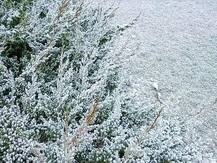 मसूरी के कंपनी गार्डन में जमी कृत्रिम झील, नजारा देखकर लोग बोले... वाह!