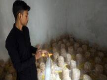 क्या आप जानते हैं कि एक कमरे में भी की जा सकती है खेती, कर सकते हैं बंपर कमाई