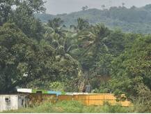 देश के कई राज्यों ने वन विभाग के बजट में की भारी कटौती, सबसे ज्यादा पश्चिम बंगाल ने घटाया- प्रकाश जावड़ेकर ने दी जानकारी