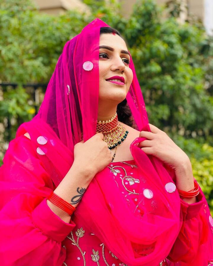 इस शरारे के साथ उन्होंने नेकपीस पहना हुआ है और दुपट्टा हाथ में कैरी किया हुआ है. 