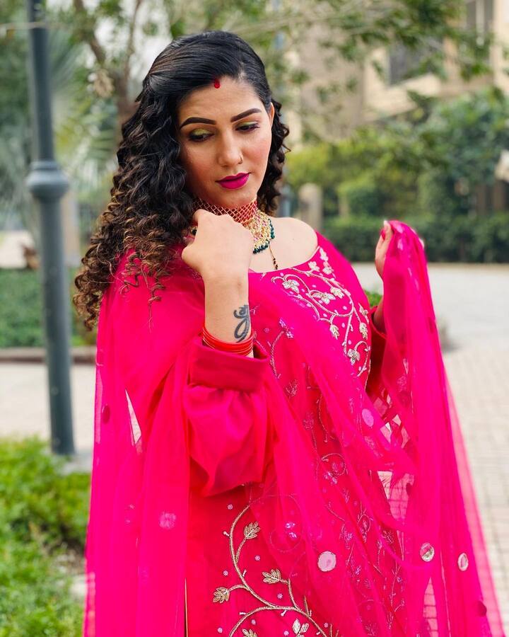 सपना चौधरी के इस लुक को काफी पसंद किया जा रहा है. फैंस उनकी सुंदरता की तारीफ कर रहे हैं. सपना के इस फोटोशूट पोस्ट को एक लाख से ज्यादा लोग लाइक कर चुके हैं. 