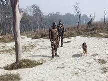 वाल्मीकि टाइगर रिजर्व में हुई बाघ की मौत, जांच के लिए बुलाया गया स्नीफर डॉग