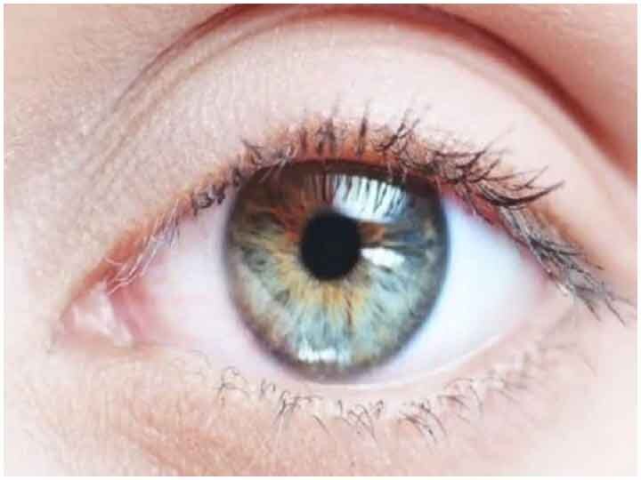 Protect your eyes from being weak, include these 5 things in food Health Tips: अपनी आंखों को न होने दें कमजोर, डाइट में शामिल करें ये चीजें