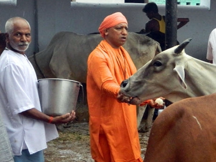 lucknow Yogi government preparing to make cow conservation centers as a major source of employment ann गौ संरक्षण केंद्रों को रोजगार का बड़ा जरिया बनाने की तैयारी में है योगी सरकार, निर्देश जारी