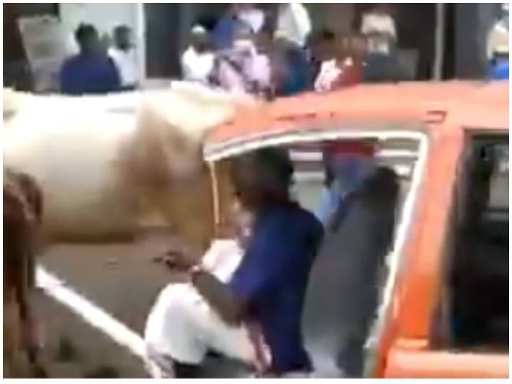 Viral video: क्या ये सवारी कार की है या फिर बैलगाड़ी की? अंतर करना हो जाएगा मुश्किल Viral video: Are passengers from car or bullock cart? Difference makes difficult Viral video: क्या ये सवारी कार की है या फिर बैलगाड़ी की? अंतर करना हो जाएगा मुश्किल