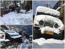 शिमला में भारी बर्फबारी से जनजीवन अस्त-व्यस्त, लोगों को करना पड़ रहा परेशानी का सामना