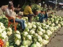 पीलीभीत: सही कीमत नहीं मिली तो किसान ने सड़क पर ही फेंक दी कई क्विंटल गोभी, जानें फिर क्या हुआ