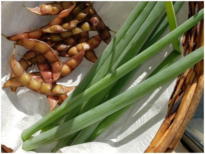Are you familiar with green onions? Here there are many benefits for your health क्या आप हरे प्याज से परिचित हैं? इसके इस्तेमाल से स्वास्थ्य को मिलनेवाले अनगिनत फायदे जानिए