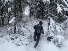 सोशल मीडिया पर कन्फ्यूज करने वाली तस्वीर वायरल, आप भी देखकर सोच में पड़ जाएंगे कि आखिर इसमें है कौन