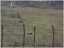 जम्मू: BSF के जवानों ने पाक के घुसपैठिये को मार गिराया, इलाके में कुछ दिन पहले मिली थी पाकिस्तानी सुरंग