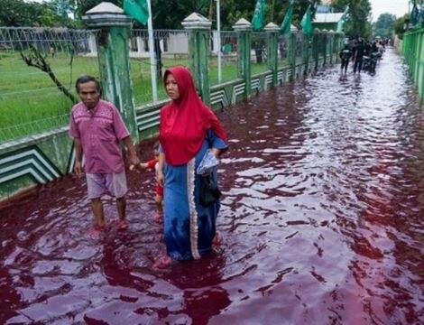 इंडोनेशिया के एक गांव में आई बाढ़, खूनी रंग में रंगा पानी, देखने वाले हैं परेशान-जानिए माजरा क्या है