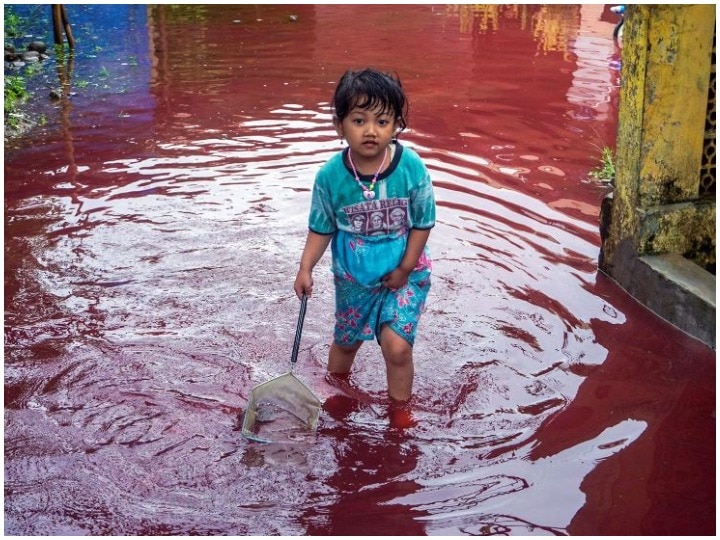 इंडोनेशिया के एक गांव में आई बाढ़, खूनी रंग में रंगा पानी, देखने वाले हैं परेशान-जानिए माजरा क्या है Indonesia Red water flowing on the roads after the flood know what is the story behind it इंडोनेशिया के एक गांव में आई बाढ़, खूनी रंग में रंगा पानी, देखने वाले हैं परेशान-जानिए माजरा क्या है