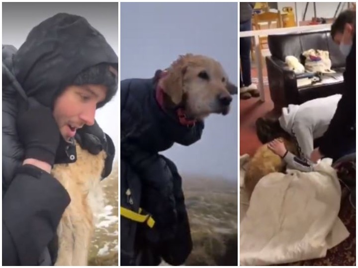 A man in Ireland rescues a lost pet dog in a mountainous region watch this emotional video पहाड़ी इलाके में खोए पालतू कुत्ते को शख्स ने बचाकर तय किया 10 KM का सफर, देखें भावुक करने वाला वीडियो