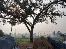 चोर समझ कर ग्रामीणों में युवक की पीट-पीटकर की हत्या, SP ने कार्रवाई का दिया आदेश