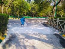 दिल्लीः चिड़ियाघर में एक बार फिर बर्ड फ़्लू का खतरा, आम नागरिकों के लिए किया गया बंद