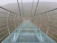 राजगीर सफारी पार्क में लाया गया बार्किंग डियर, बड़े जानवर भी आएंगे जल्द