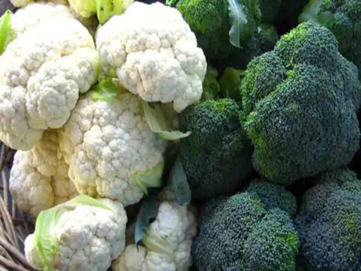 Cauliflower Vs Broccoli: Which vegetable is hidden in the treasure of good health ? Cauliflower Vs Broccoli: कौन सी सब्जी में छिपा है अच्छी सेहत का खजाना, जानिए