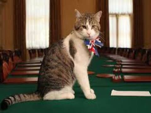 Larry the smart cat: लैरी ने अपने शानदार कार्यकाल के 10 साल किये पूरे.. जानिए कौन है ये खासमसास बिल्ली Larry the smart cat: लैरी ने अपने शानदार कार्यकाल के 10 साल किये पूरे.. जानिए कौन है ये खासमसास बिल्ली