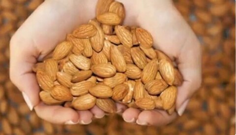 सिर्फ फायदे नहीं बादाम के हैं बहुत सारे नुकसान, जानिए किन लोगों को नहीं खाना चाहिए
