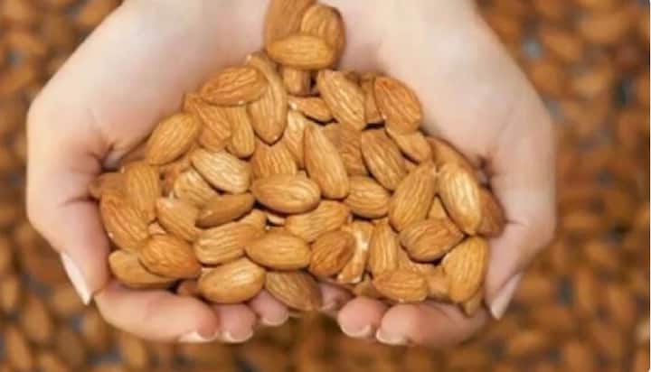बादाम वजन कम करने में आपकी मदद करता है लेकिन इसमें कैलोरिज़ और फैट भी बहुत होता है. 3 से 4 बादाम में 168 कैलोरी और 14 ग्राम फैट होता है. अगर आप मुट्ठीभर बादाम प्रतिदिन खाते हैं तो लगभग 500 से ज़्यादा कैलोरी और 40 से 50ग्राम फैट आपके शरीर को मिल जाता है. इसलिए अगर आप वजन कम करना चाहते हैं तो बादाम को सीमित मात्रा ही खाएं