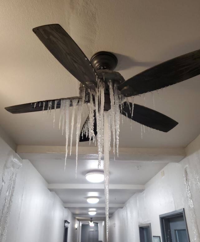 बर्फबारी से कितनी तबाही हुई है इसके अंदाजा इस बात से लगाया जा सकता है कि कई घरों में पंखे तक पर बर्फ जम गए हैं.