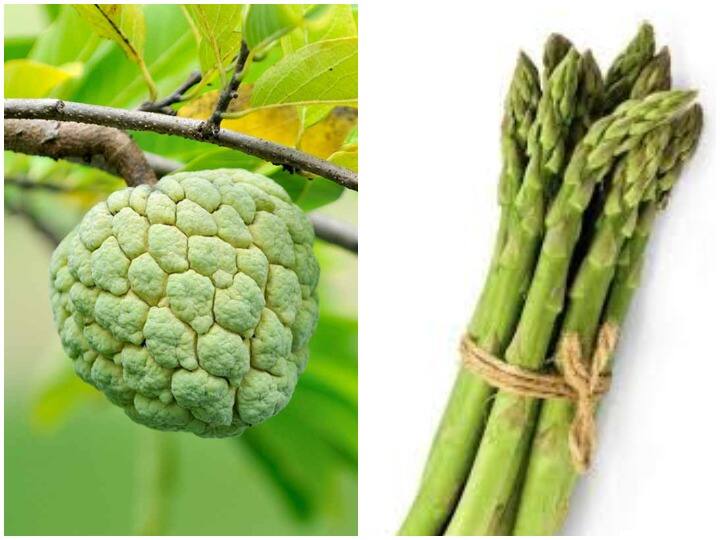 Health Tips: नेचुरल तरीके से दूर हो सकती है दुबलेपन की शिकायत, आसानी से बढ़ाया जा सकता है वजन Health Tips: Complaints of thinness can be overcome by natural methods, weight can be increased easily Health Tips: नेचुरल तरीके से दूर हो सकती है दुबलेपन की शिकायत, आसानी से बढ़ाया जा सकता है वजन