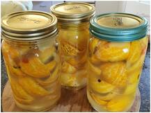 Health tips: जानिए क्यों आपको जरूर अपनी डाइट में नींबू का अचार शामिल करना चाहिए