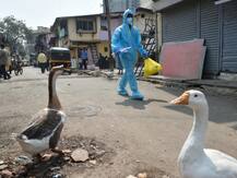 महाराष्ट्र: अमरावती में लॉकडाउन लागू, कोरोना के बढ़ते मामलों के बीच सीएम उद्धव सख्त, लोगों की दी ये हिदायतें
