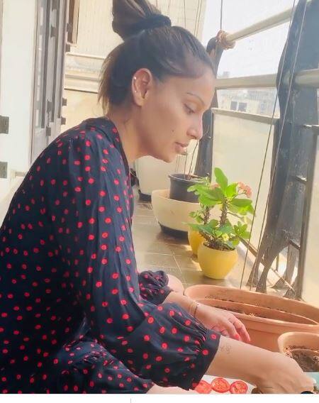 बिपाशा कई बार अपने घर की बालकनी में गार्डनिंग करती भी नजर आई हैं.उन्हें पौधो से काफी प्यार है. इसलिए उनके घर में कई तरह के प्लांट्स लगाए गए हैं