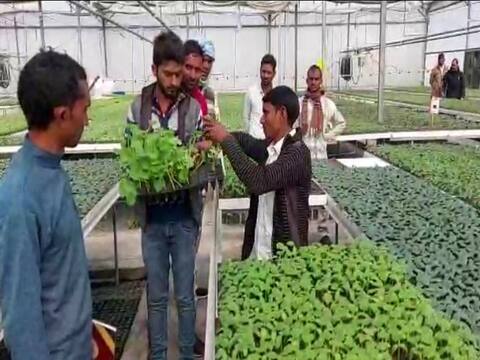 किसानों की बढ़ी आय, कमाई के साथ रोजगार भी दे रहा है 'सेंटर ऑफ एक्सीलेंस फॉर वेजिटेबल सेंटर'