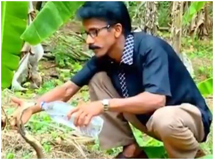 Viral video cobra was fed with water boatel by a person, video viral Viral Video: कोबरा को एक शख्स ने बोतल से पिलाया पानी, देखिए फिर क्या हुआ