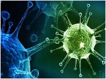 दक्षिण भारत में ज्यादा फैल रहा है कोरोना का 'वैरिएन्ट N440K' , वैज्ञानिकों ने बताई सर्विलांस की जरूरत