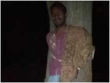 शहद निकालने से मना करने पर शख्स को मिली तालिबानी सजा, पेड़ से लटकाकर बेरहमी से पीटा