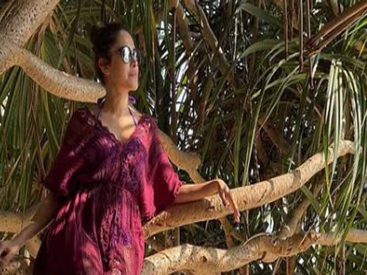फोटो में नुसरत पेड़ की एक शाखा पर बैठी हुई नजर आती हैं. नुसरत की इन फोटोज को अब तक लाखों लोग लाइक कर चुके हैं. 