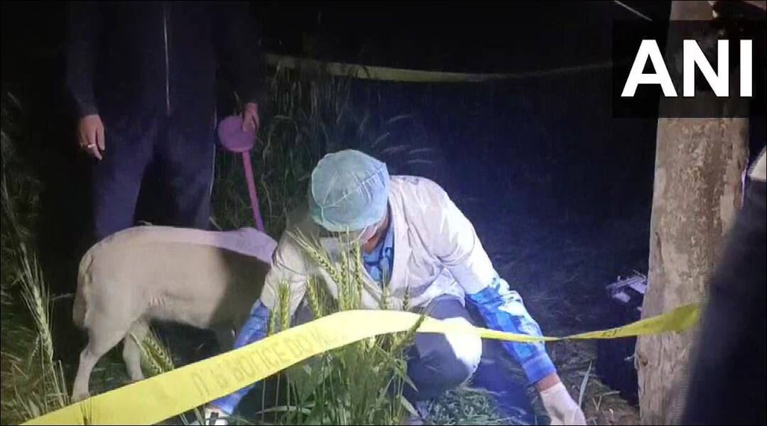 अलीगढ़: खेत में संदिग्ध हालत में मिली किशोरी की लाश, कई घंटों से थी लापता up: Minor body found in farm field at Aligarh अलीगढ़: खेत में संदिग्ध हालत में मिली किशोरी की लाश, कई घंटों से थी लापता
