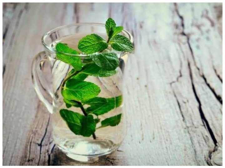 Why is it necessary to know various health related benefits of mint leaves? समझिए, पुदीना की पत्तियों के कई स्वास्थ्य संबंधी फायदों का जानना आपके लिए क्यों जरूरी है?