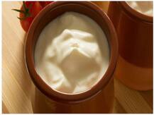 डाइट में प्रोबायोटिक्स को शामिल करने पर होता है स्वस्थ बैक्टीरिया का विकास, दही रखती है आपकी आंत को हेल्दी