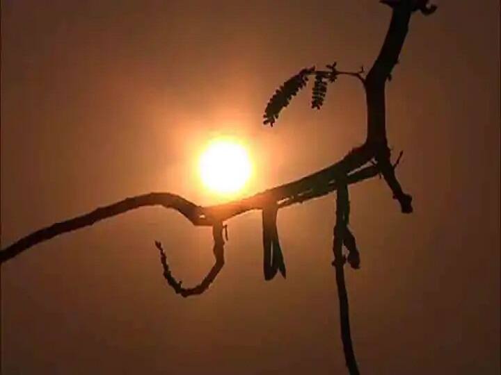 Weather Update Temperature IMD issues alert says this summer temperature will be above normal Weather Forecast Update: इस बार बहुत झुलसाएगी गर्मी! देश के अधिकतर हिस्सों में सामान्य से ज्यादा रहेगा तापमान, मौसम विभाग का अलर्ट